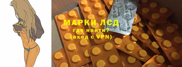 спайс Богданович