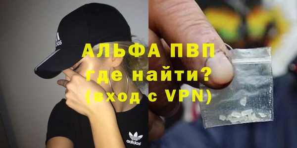 спайс Богданович