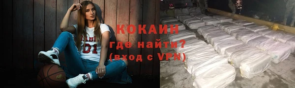 бошки Белокуриха
