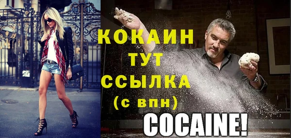 бошки Белокуриха