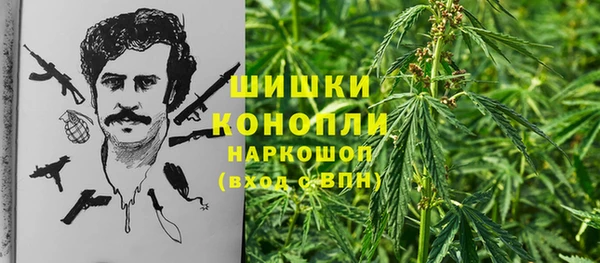 бошки Белокуриха