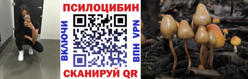 Галлюциногенные грибы мухоморы наркотики Бирск